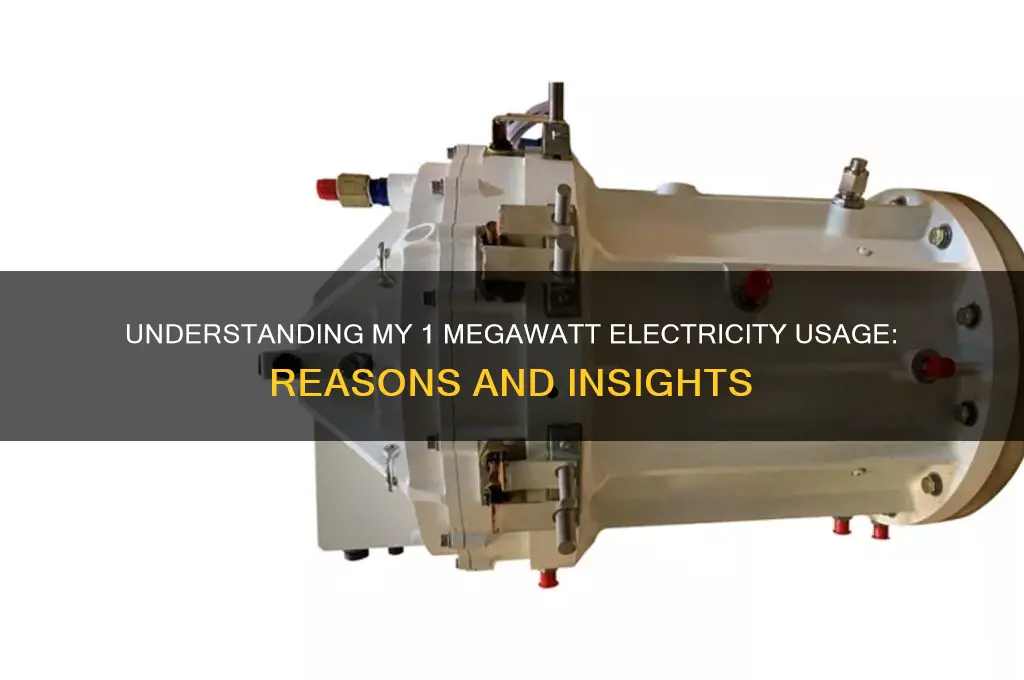why do i use 1 megawatt of electricity