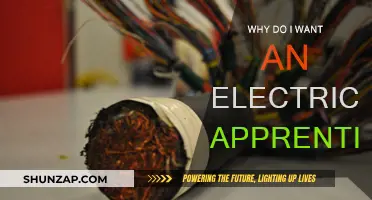 Electrical Apprenticeship: My Career, My Future