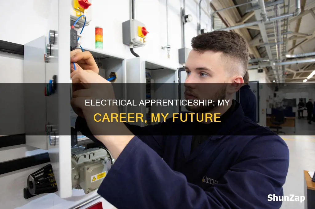 why do i want an electrical apprenticeship