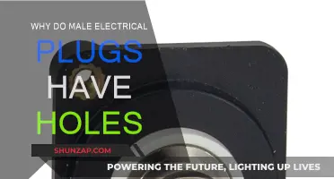 Electrical Plugs: Why Do Male Versions Have Holes?