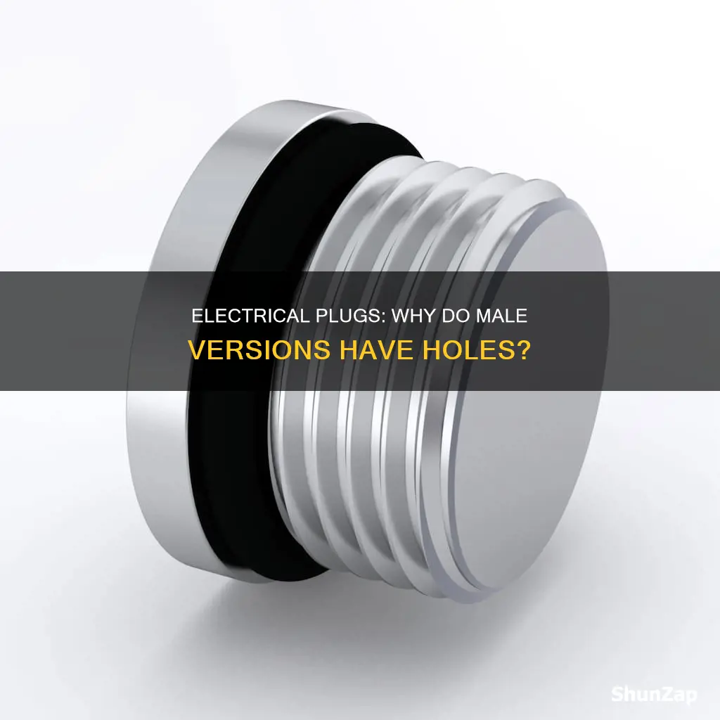 why do male electrical plugs have holes