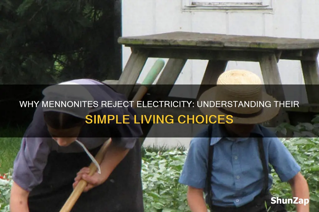 why do mennonites not use electricity