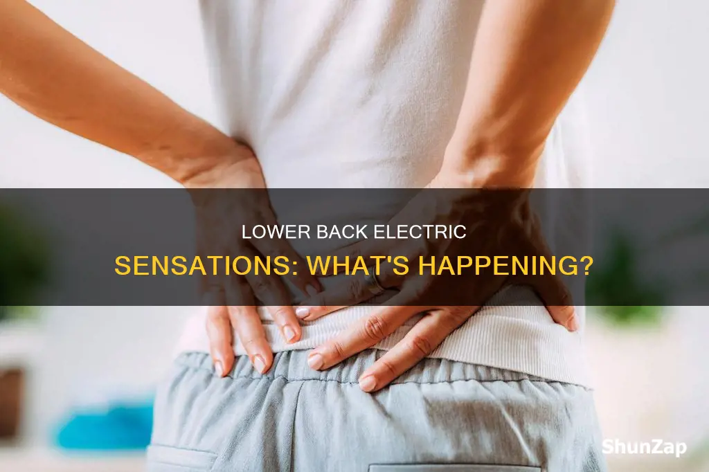 why do my lower back feel electric