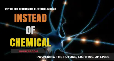 Why Neurons Choose Electricity Over Chemistry for Rapid Communication