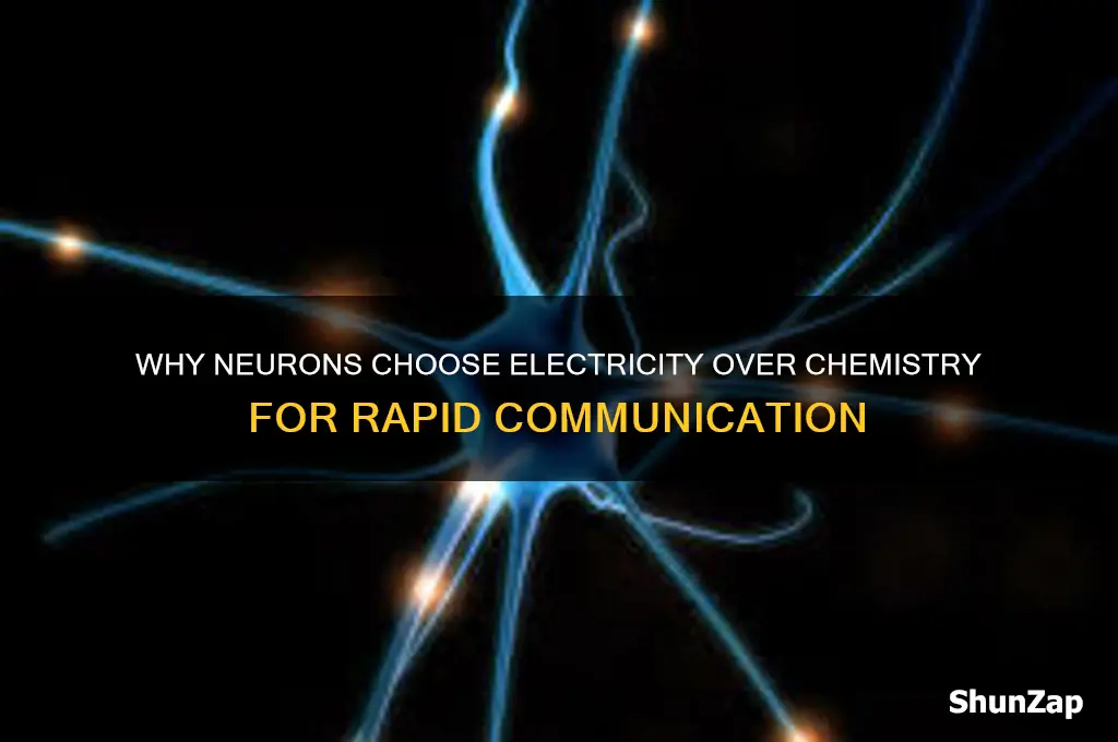 why do our neurons use electrical signals instead of chemical