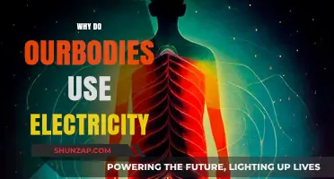 How Electricity Powers Our Bodies: The Science Behind Bioelectricity