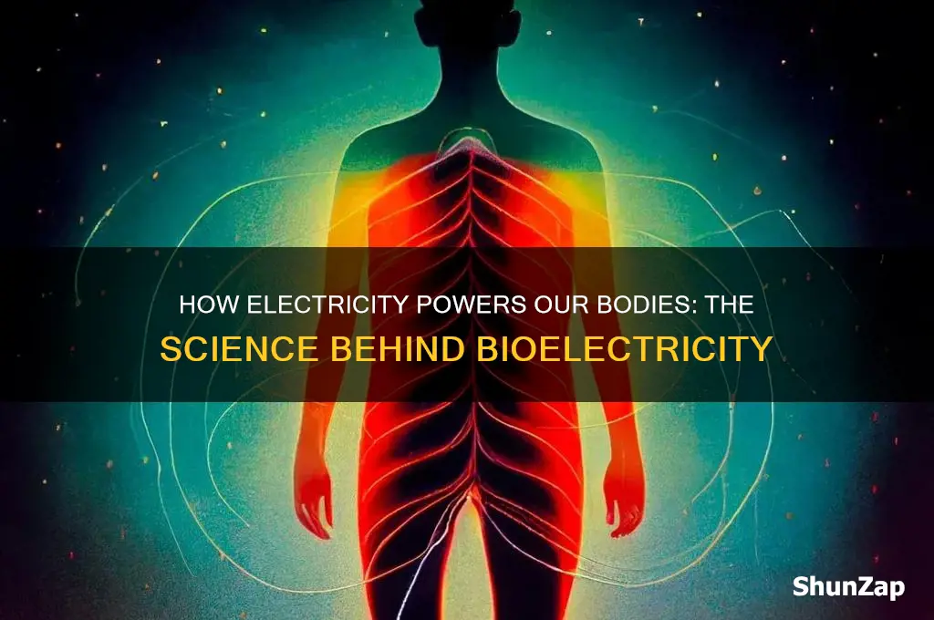 why do ourbodies use electricity
