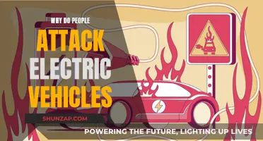 Unraveling the Mystery: Why Some People Target Electric Vehicles