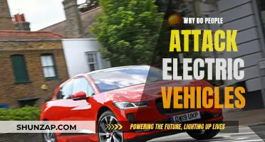 Electric Vehicles: The Unlikely Target of Public Outrage