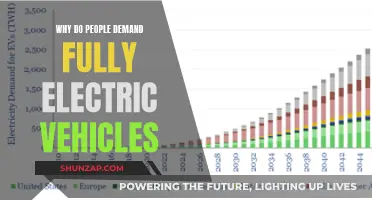 The Rise of Electric: Unlocking a Greener Future