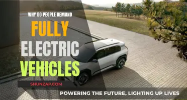 Electric Vehicles: The Demand for a Greener Future
