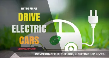 Why People Choose Electric Cars: Benefits, Savings, and Sustainability