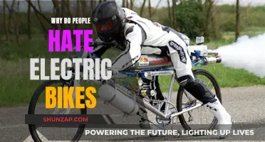 Electric Bikes: Why the Resistance and Hate?