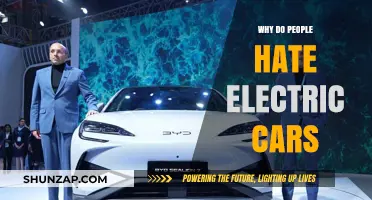 Why Electric Cars Face Backlash: Unraveling Common Misconceptions and Concerns