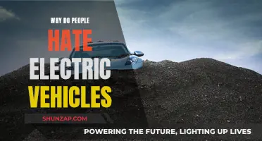 Unraveling the Mystery: Why Some Still Hate Electric Vehicles