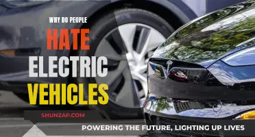 Electric Vehicles: Unpopular Revolution on the Roads