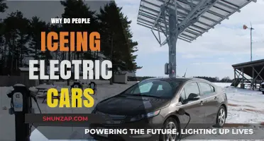 Why People Are Icing Electric Cars: Unraveling the Trend and Reasons