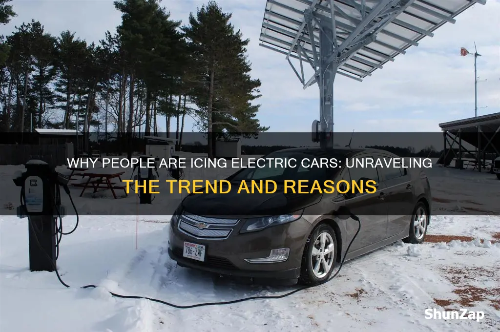 why do people iceing electric cars