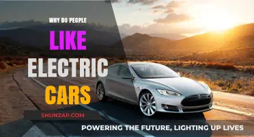 Why Electric Cars Are Winning Hearts: Benefits and Appeal Explained