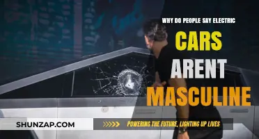Electric Cars and Masculinity: Debunking the Stereotypes on the Road