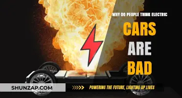Debunking Myths: Why Some Believe Electric Cars Are a Bad Choice