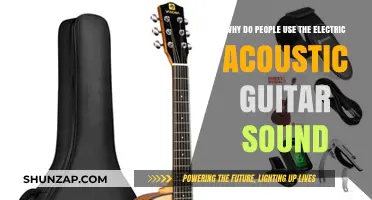 Exploring the Versatility of Electric Acoustic Guitar Sounds in Music