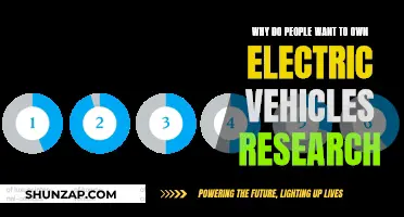 The Electric Revolution: Unlocking the Desire for Sustainable Mobility