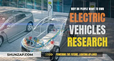 Electric Vehicles: Why the Demand?