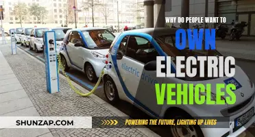 Electric Vehicles: The Green, Cost-Effective Choice for Consumers