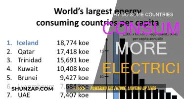 Electricity Consumption: A Global Disparity and its Reasons