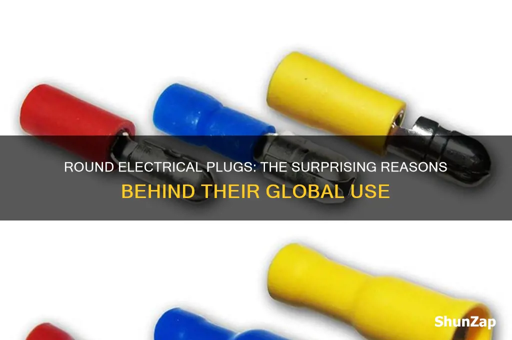 why do some countries use round electrical plugs