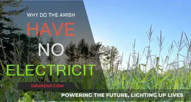 The Amish and Electricity: A Choice for Simple Living