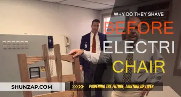 Electric Chair Shaving: A Strange Practice Explained
