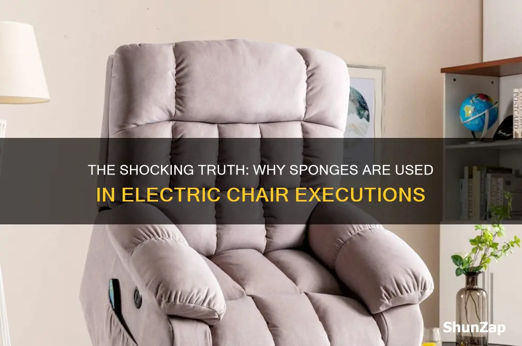 why do they use a sponge in the electric chair