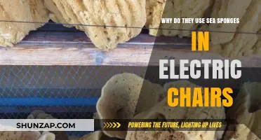 Sea Sponges in Electric Chairs: Uncovering the Shocking Historical Practice
