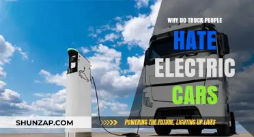 Why Truck Drivers Dislike Electric Vehicles: Unraveling the Divide