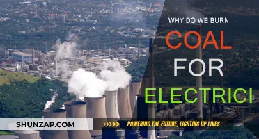 The Burning Question: Coal's Role in Electricity Generation