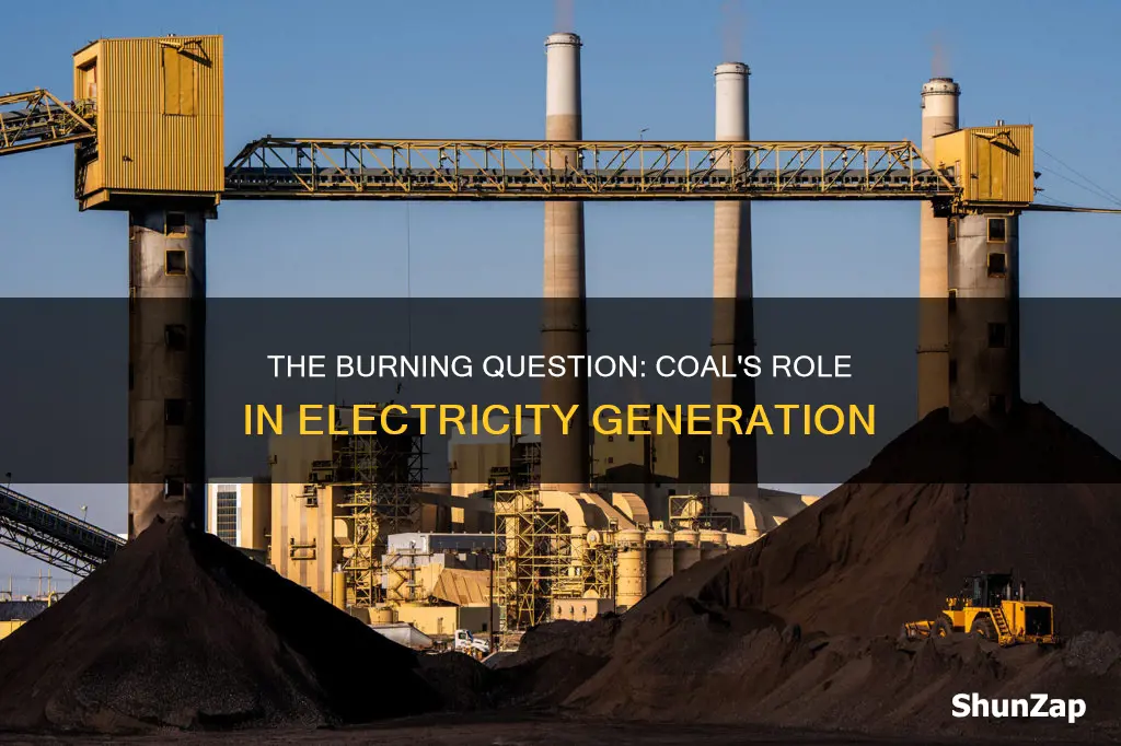 why do we burn coal for electricity