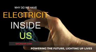 How Electricity Powers Our Bodies