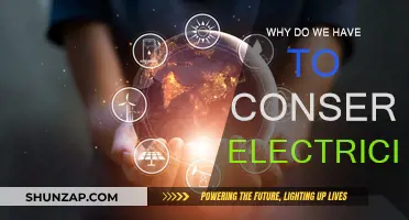 Conserving Electricity: Our Future Depends on It