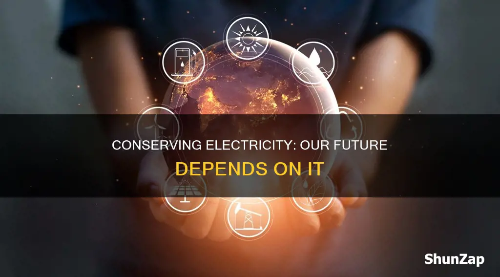 why do we have to conserve electricity