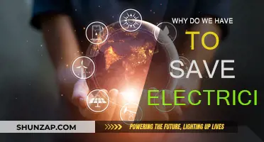 Conserve Electricity, Save Money, Protect the Planet