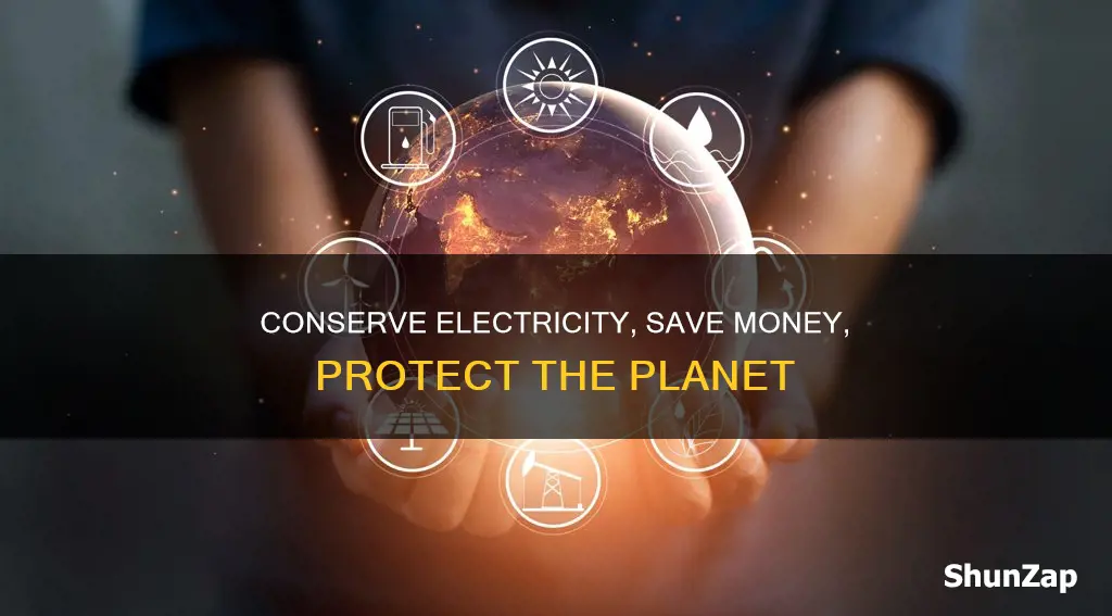 why do we have to save electricity