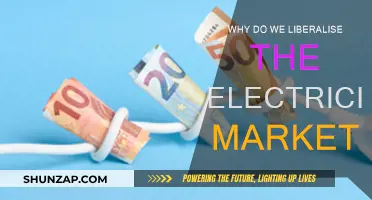 Liberalising Electricity Markets: Benefits and Challenges