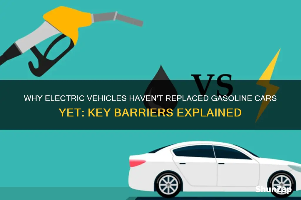 why do we not use electric vehicles