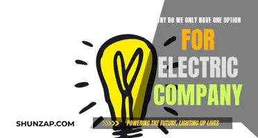 Electric Company Monopoly: Why Only One Choice?