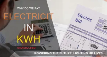 Understanding Electricity Billing: The kWh Unit