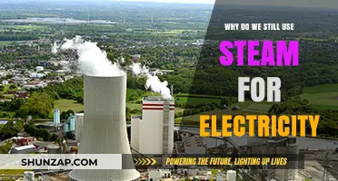 Steam Power Persists: The Enduring Role in Modern Electricity Generation