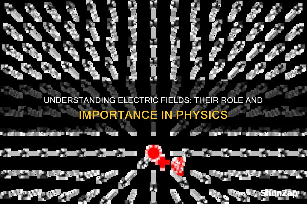 why do we use electric field in physics