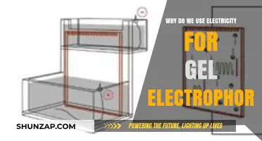 Why Electricity Powers Gel Electrophoresis: Unlocking DNA Separation Secrets